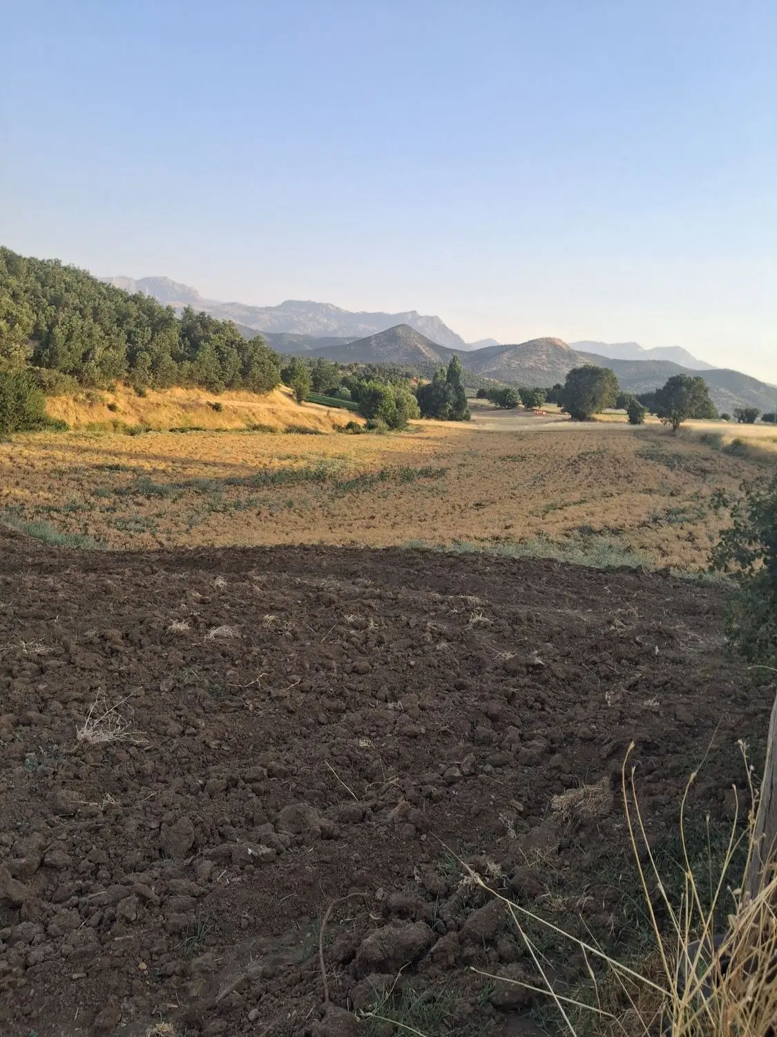 فروش زمین کشاورزی اماده خانه باخی