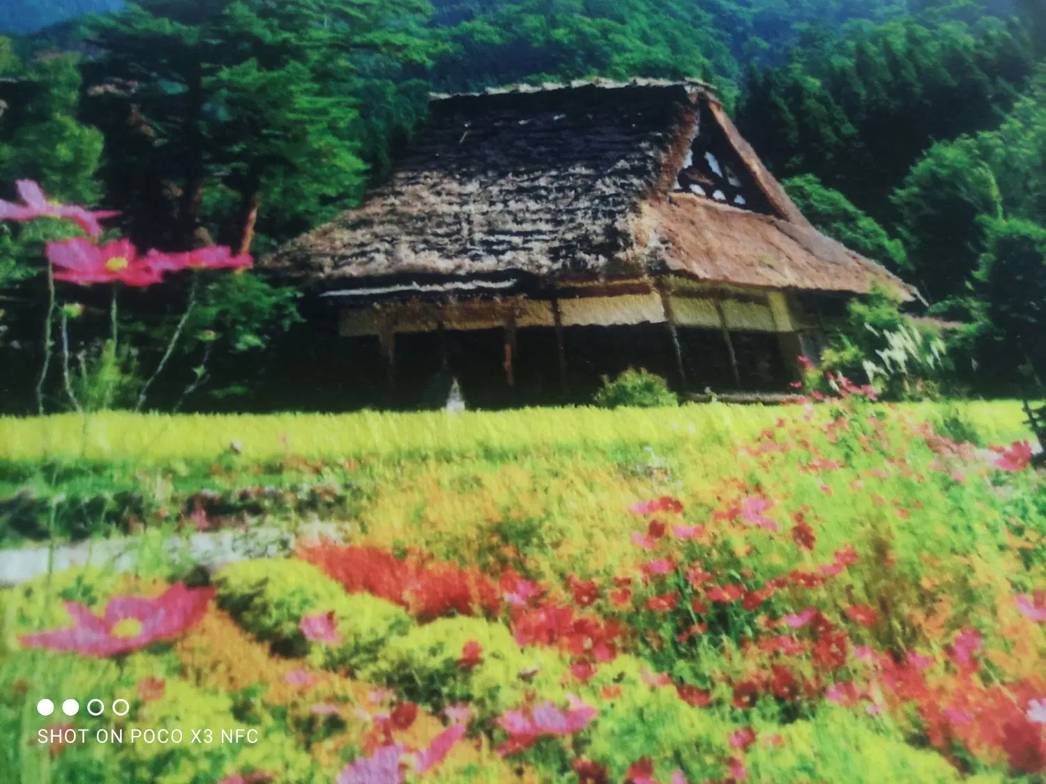 مغازه اجاره ای