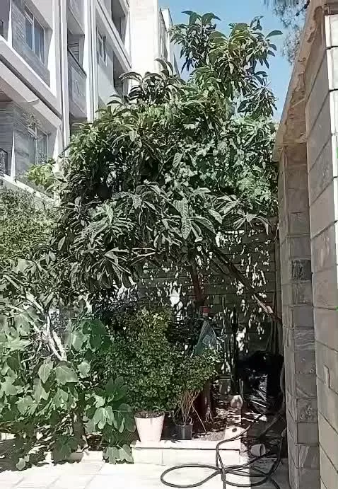 خانه مسکونی دو طبقه حیاط دار حکیمیه