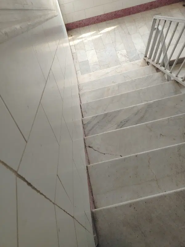 همخونه