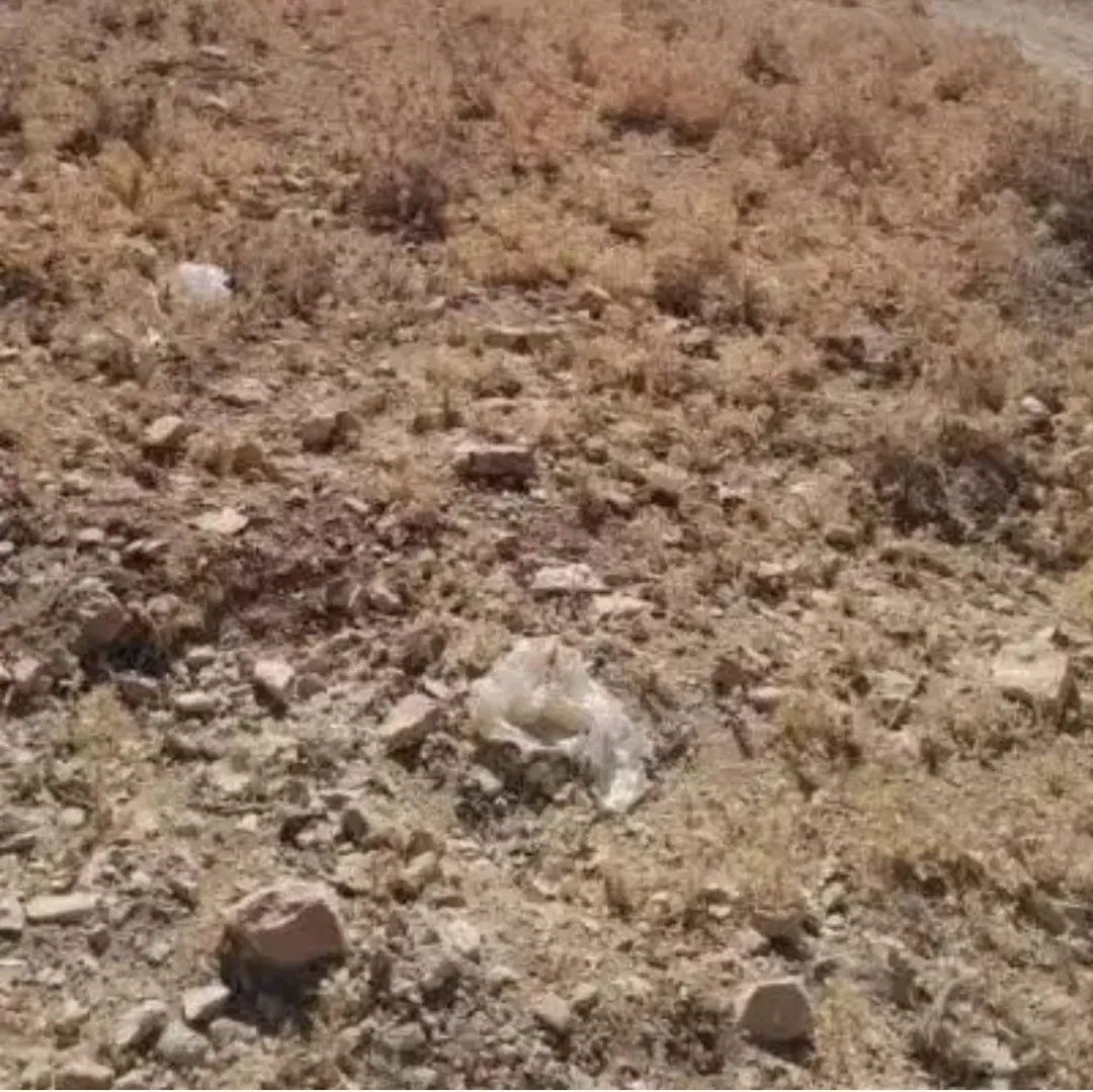زمین مسکونی