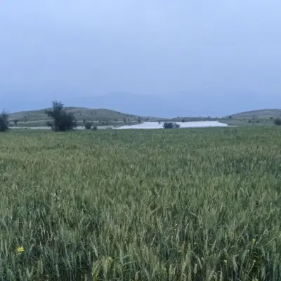 همکاری