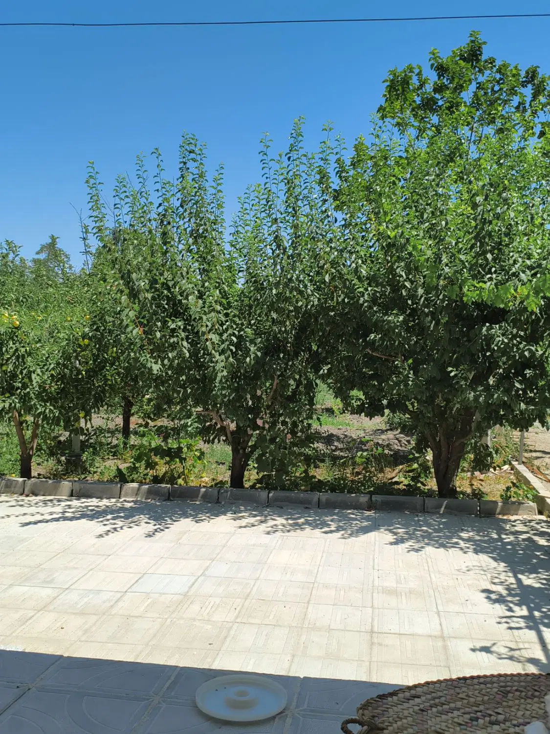 باغ ویلا در روستای کولق