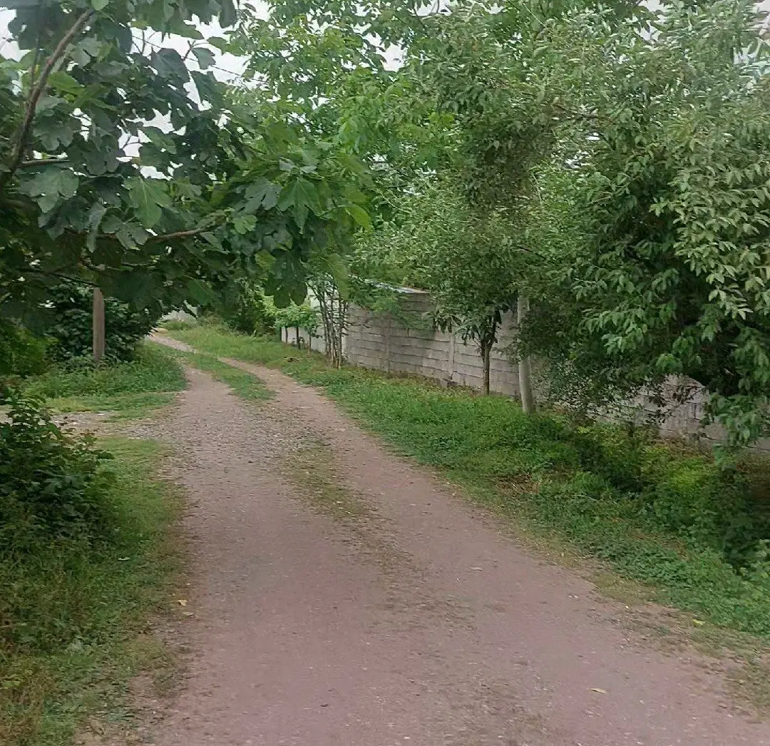 یک قطعه زمین جنب منزل مسکونی205متر(روستا)