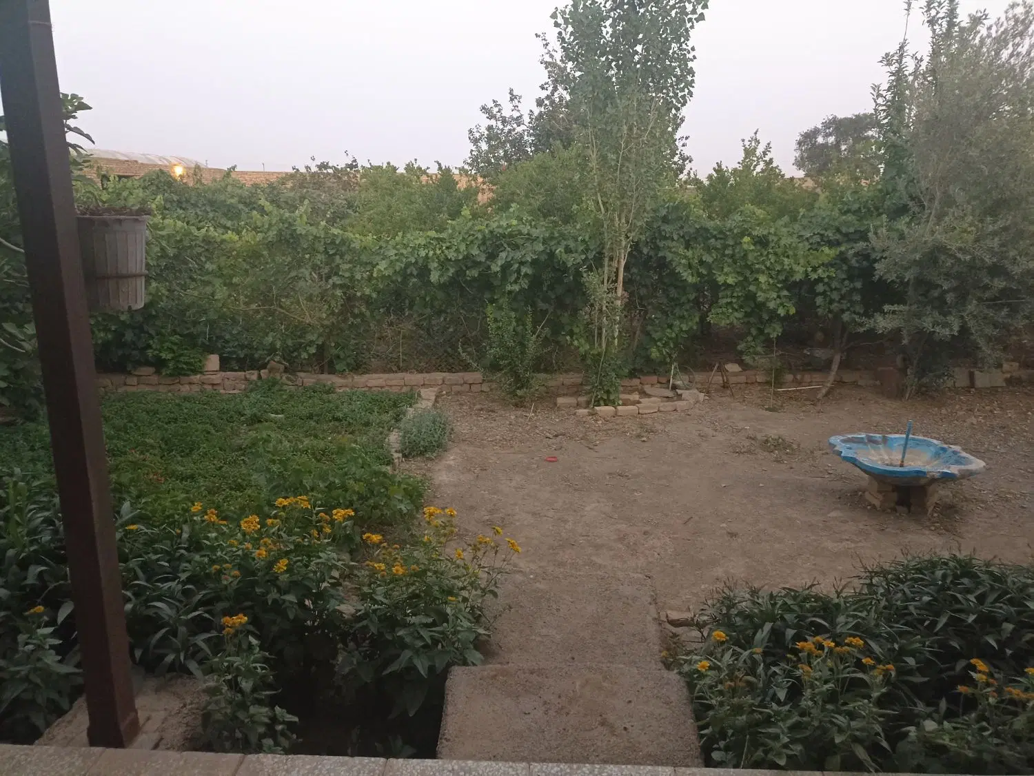 فروش خونه باغ و دامداری در ساوه