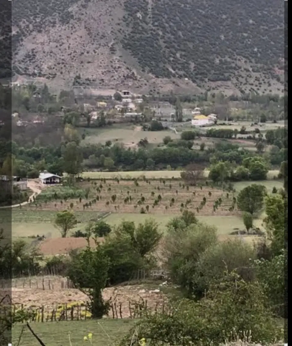 زمین داخل بافت گلزار بالا