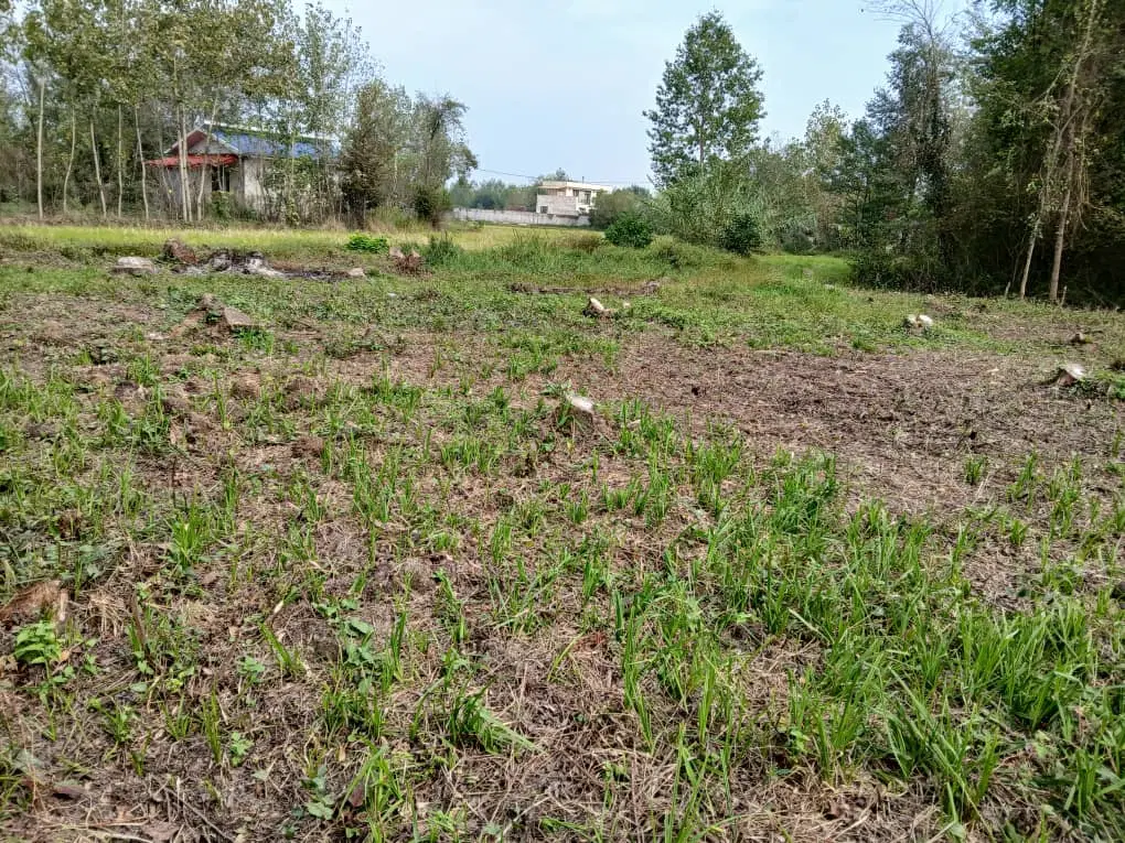 فروش زمین روستایی