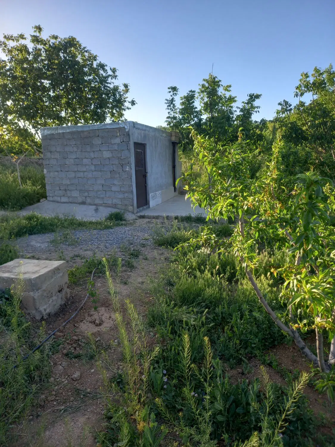 باغ بادام با اتاق