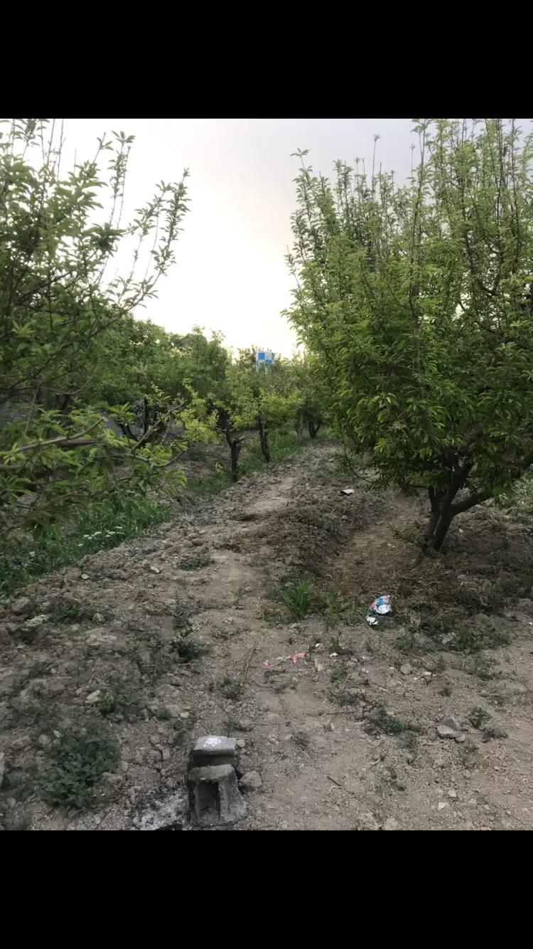 ۴۰۰ متر چهاردیوار باغ  باغچه شهریار دهشاد باغستان