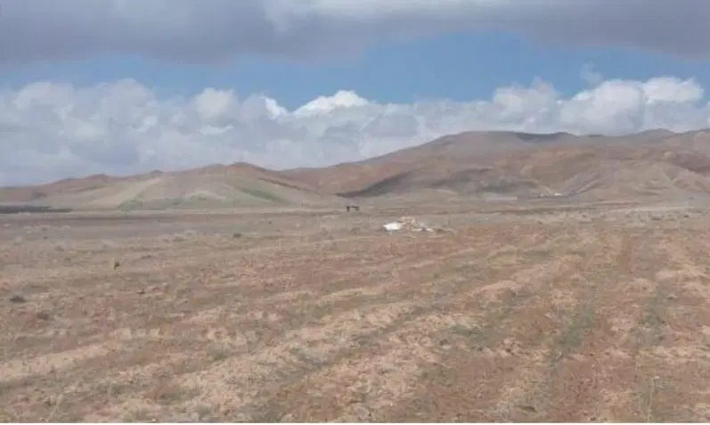 زمین کشاورزی