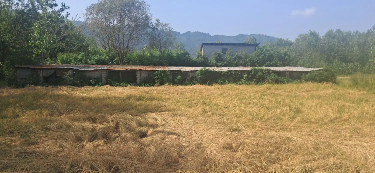 زمین کشاورزی وبایر