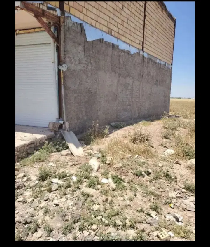 زمین پاپی خالدار سفلی