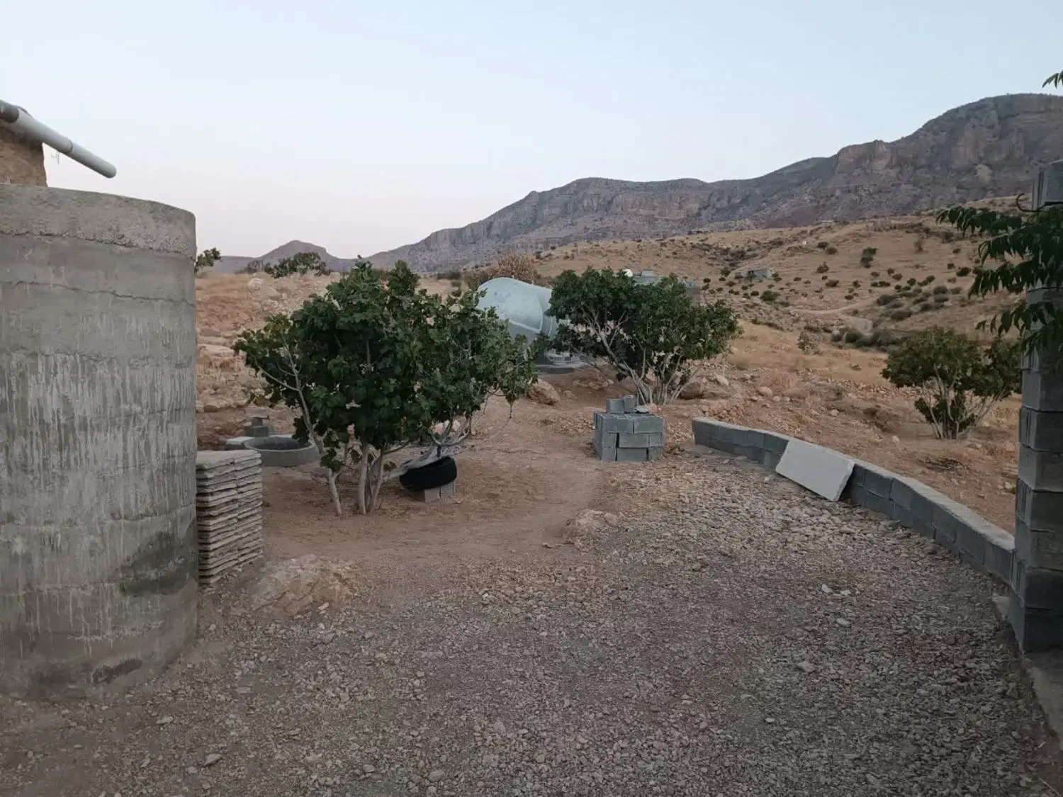 ملک انجیر بیدلنگ
