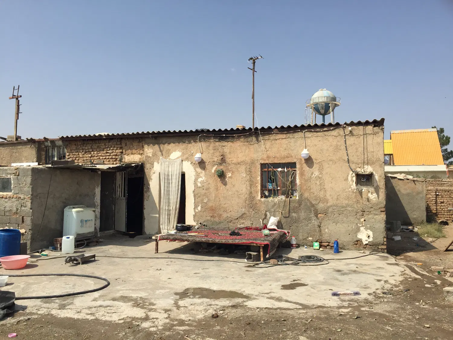 اجاره دامداری گاو داری مرغ داری