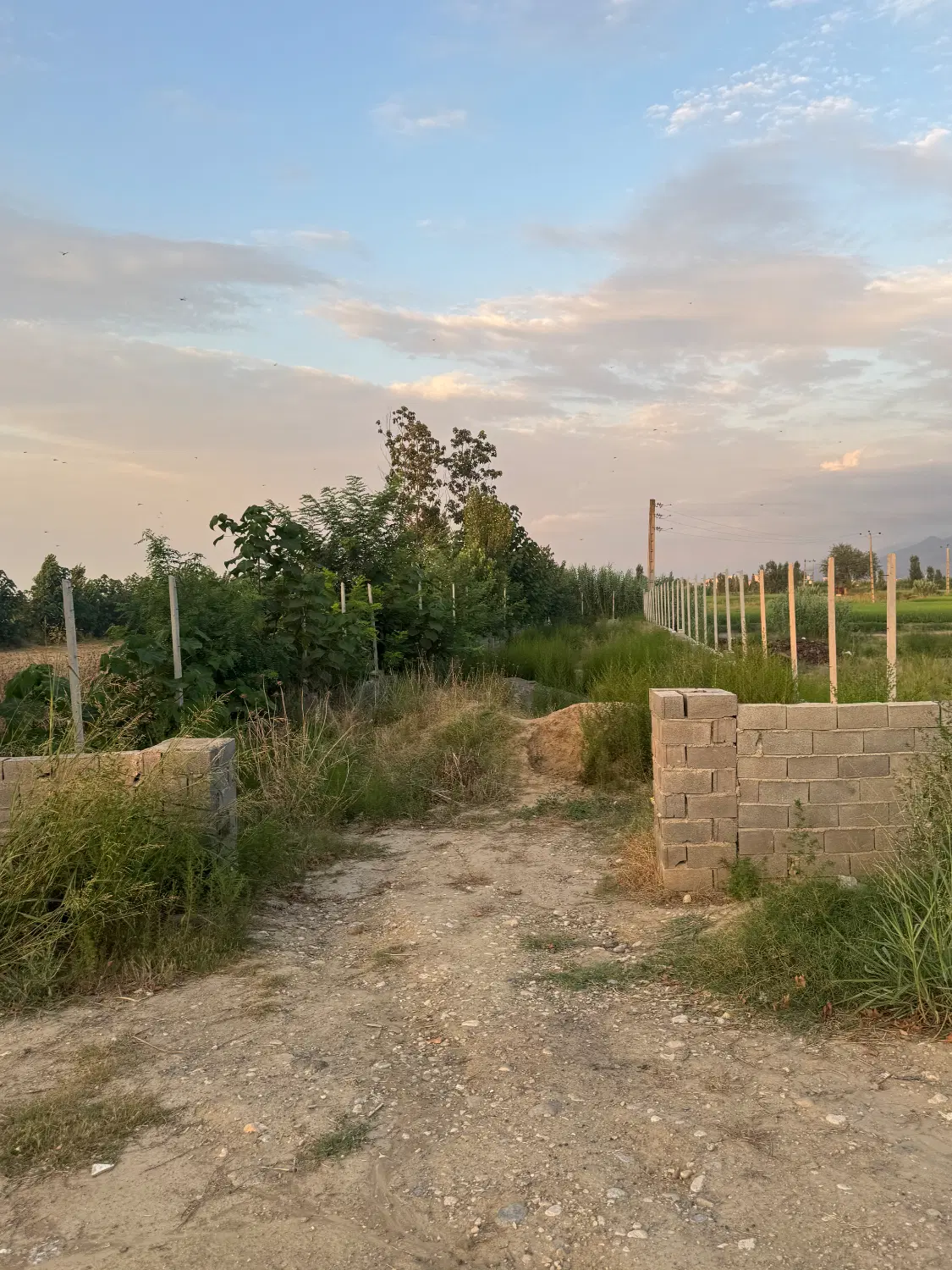 زمین بر کمربندی سرخنکلاته