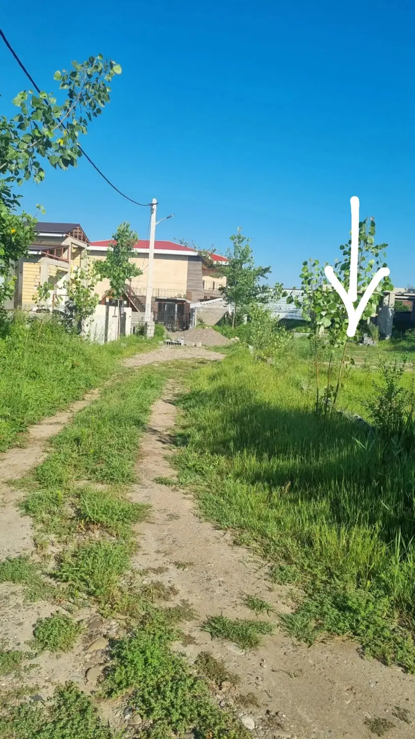 زمین شمال ( زیباکنار )