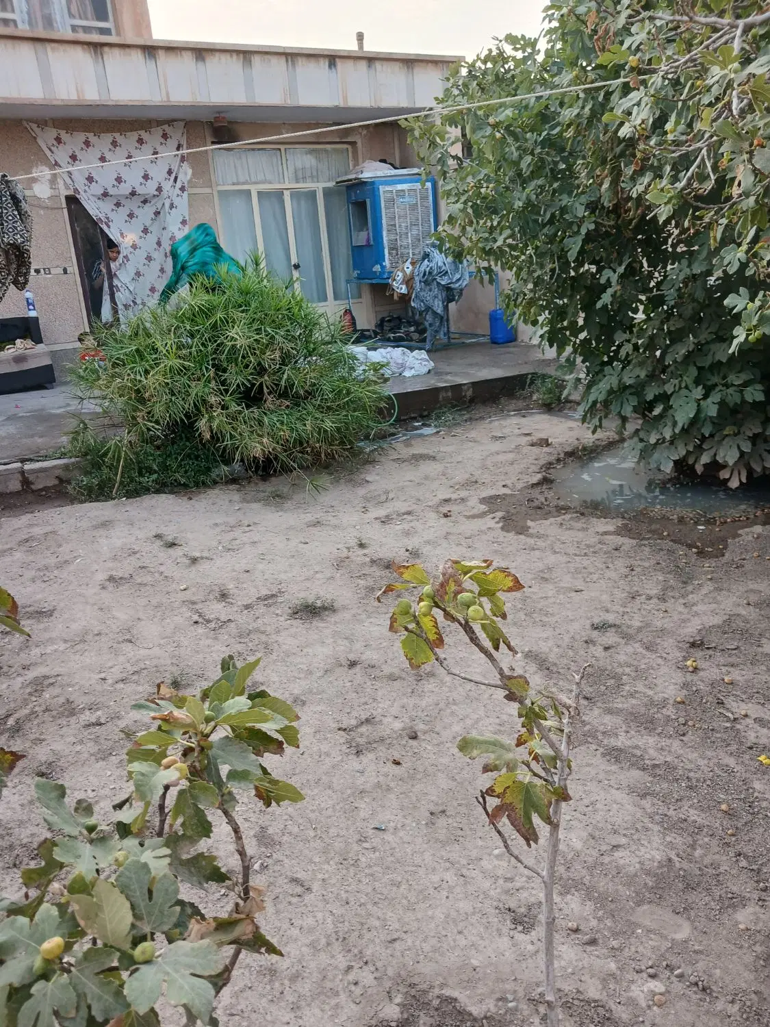 اجاره ویلایی خیابان لجران