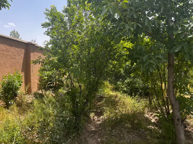 باغ چهاردبوازی