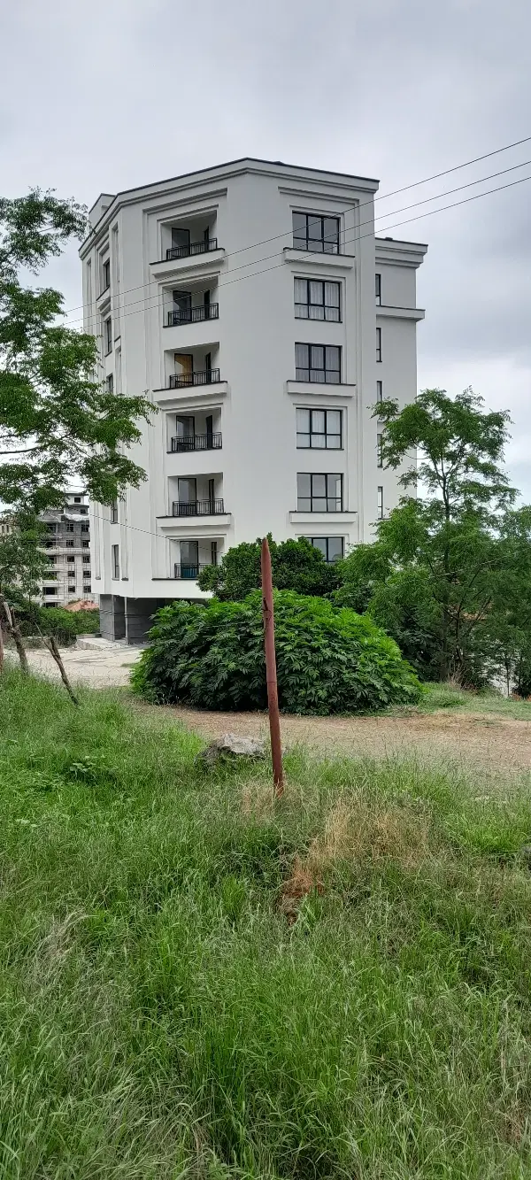 زمین پردیس