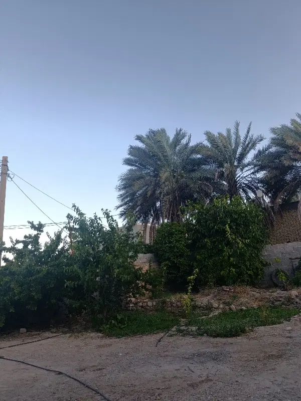 رهن منزل