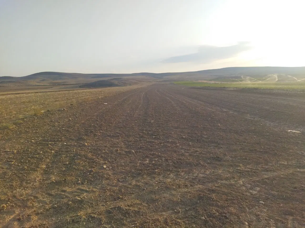 ارائه زمین و آب جهت کاشت خیار در روستای ورگ