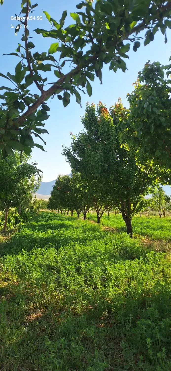 ۵۰۰ زمین بان گلشن آباد
