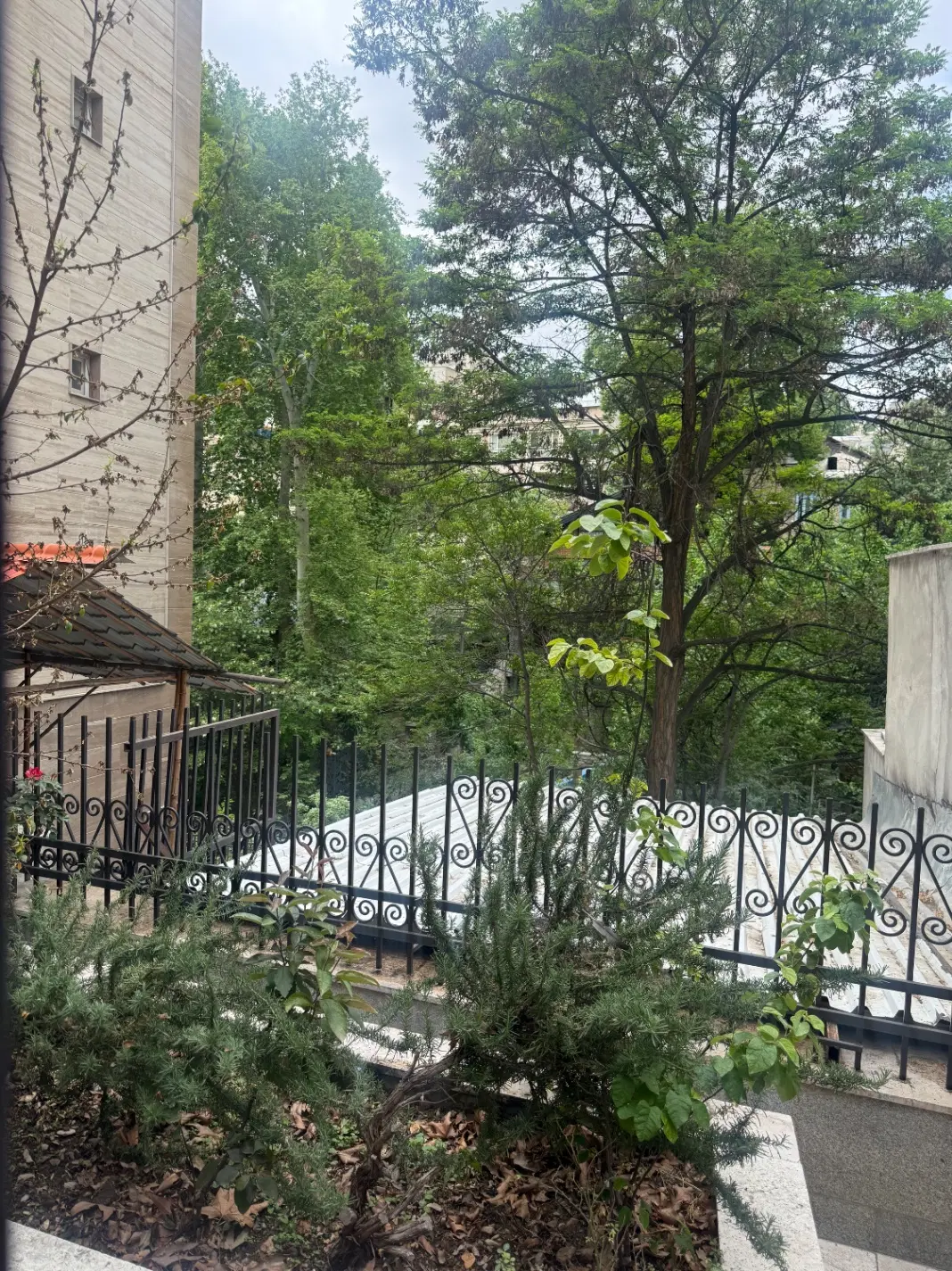 ‌فروش دو قطعه زمین مسکونی خیابان عباسی