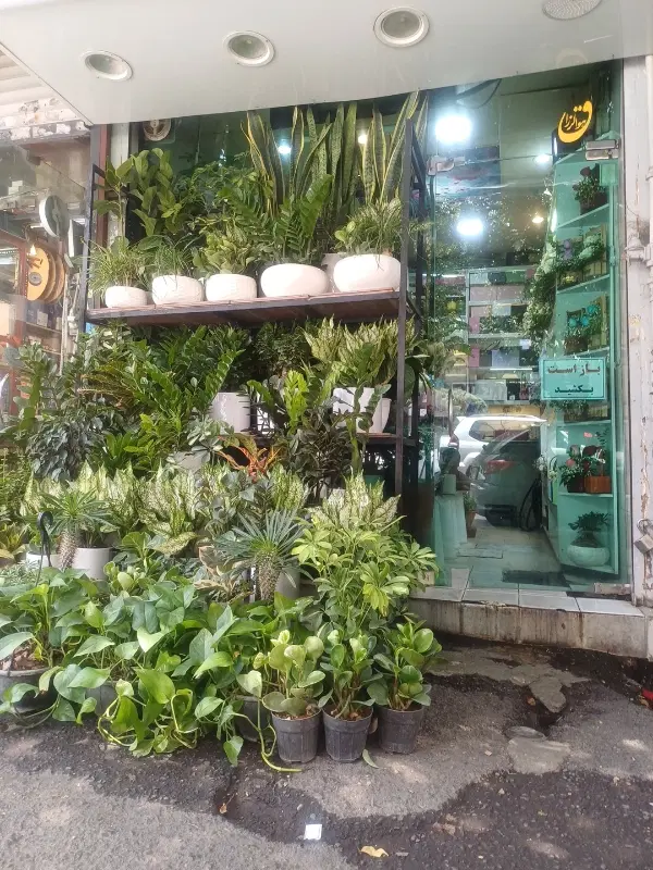 مغازه جهت شراکت گلفروشی نیازمندیم