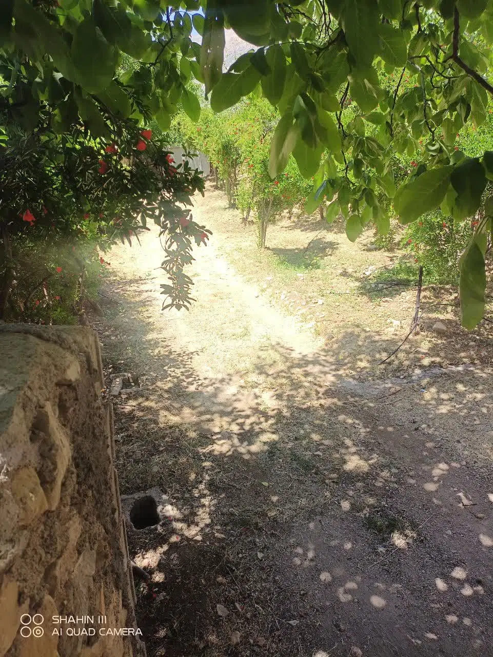 فروش باغ در شیراز کهمره سرخی  ۲۰۰۰متر
