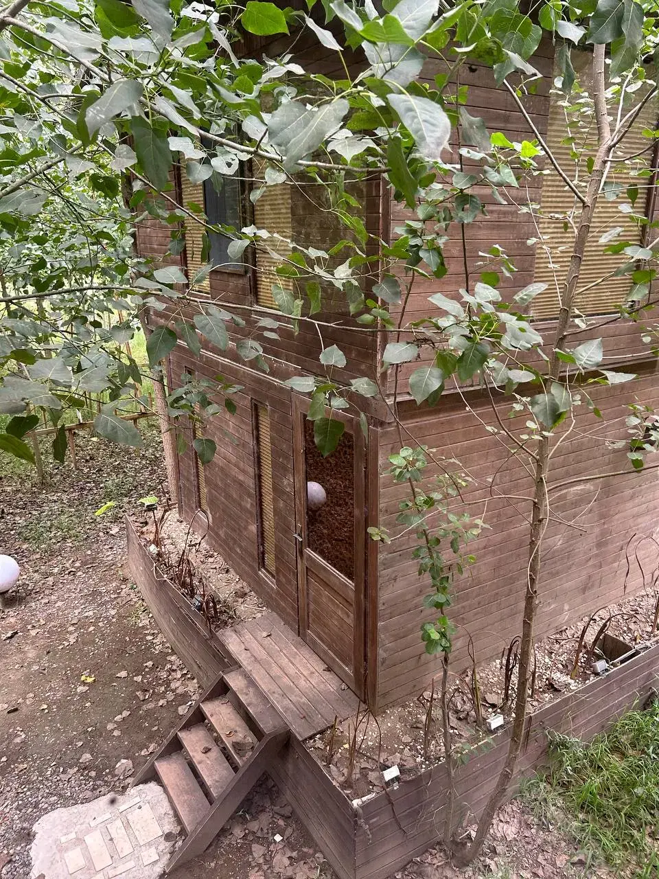 باور کن میتونی رویای خودتو زندگی کنی