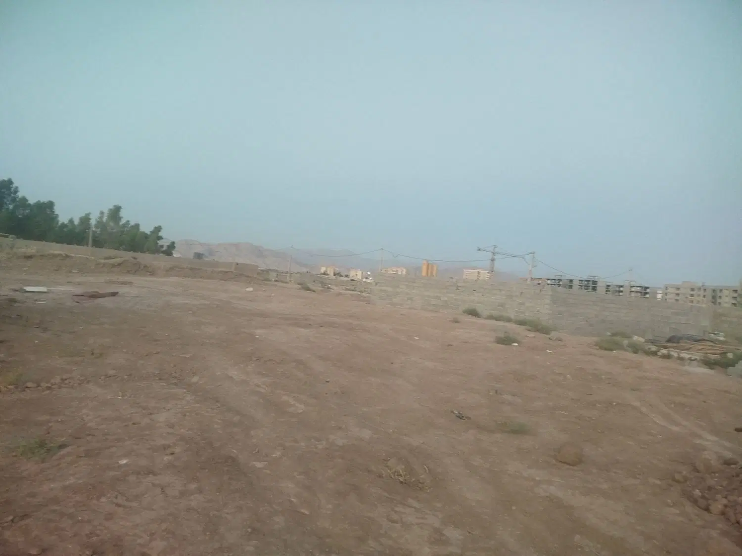 10 قصب زمین