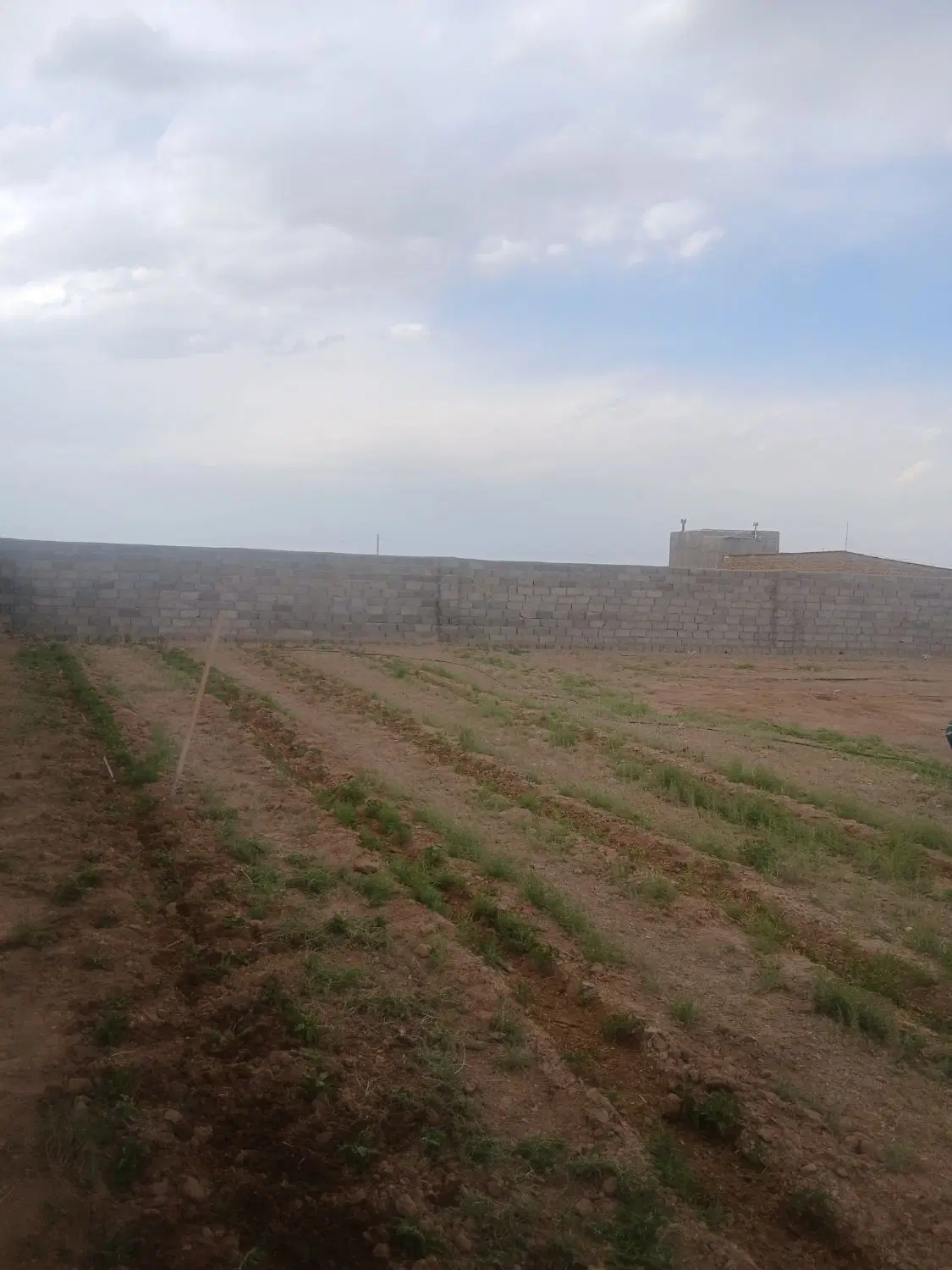 یک قطعه زمین