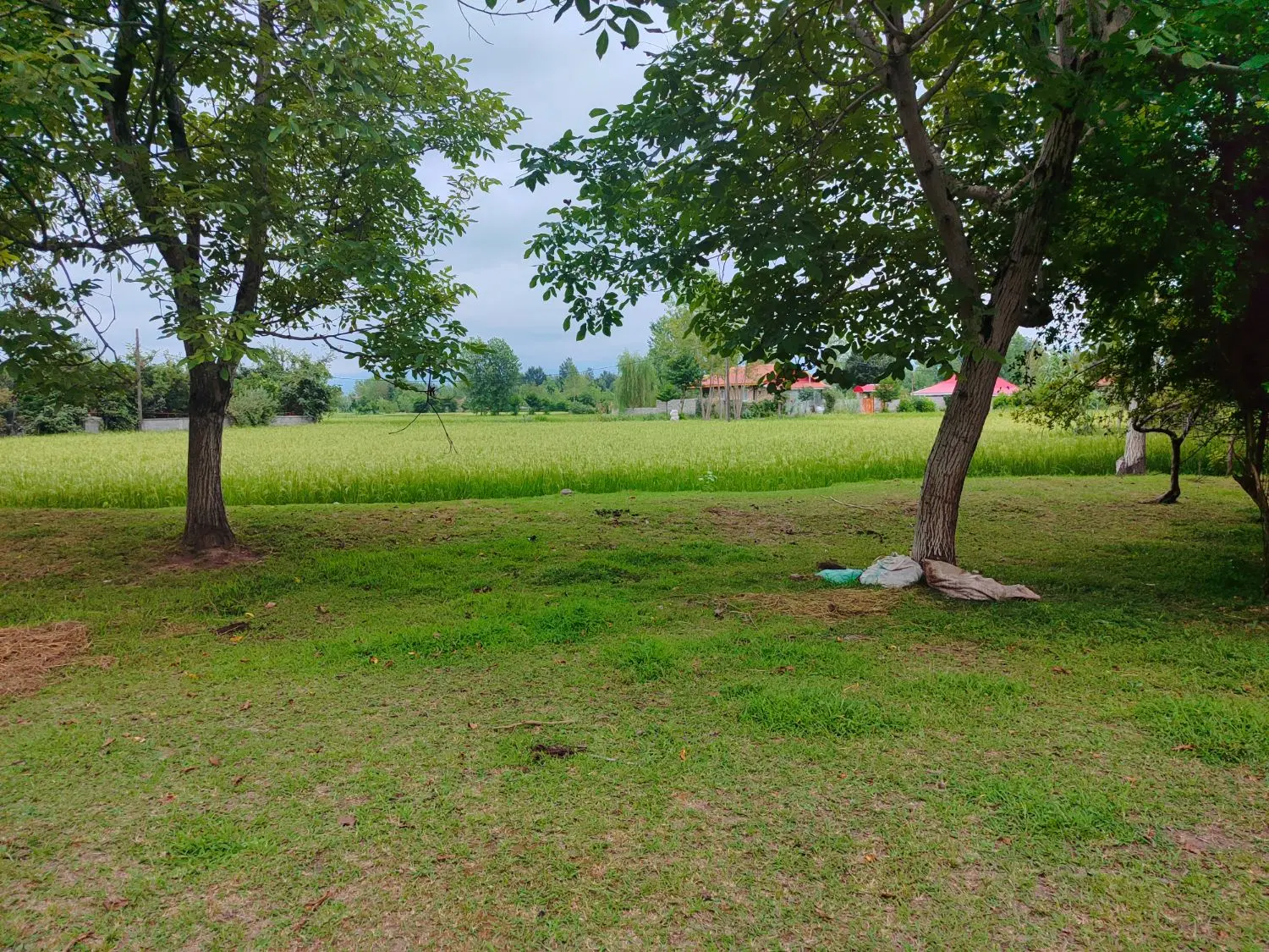 فروش خانه روستایی