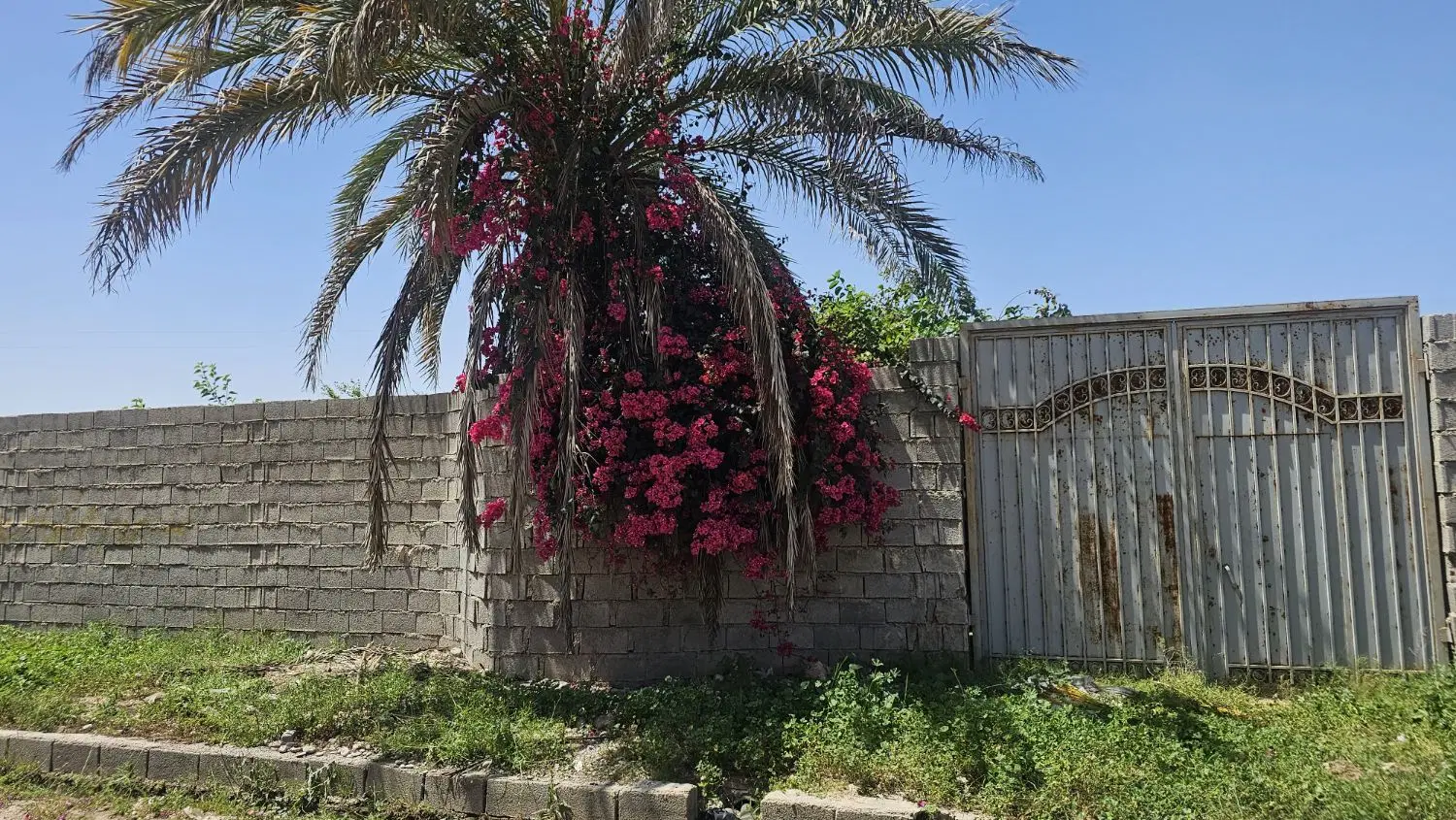 باغچه مناسب ساخت_لوکیشن برند شمس اباد
