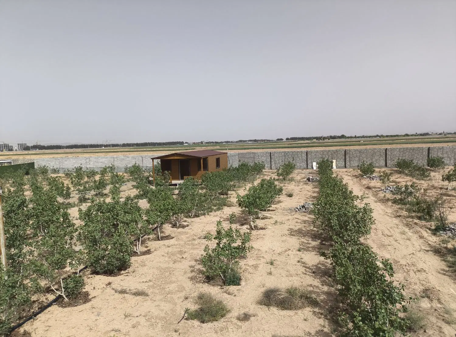 باغ ۷۵۰ متری