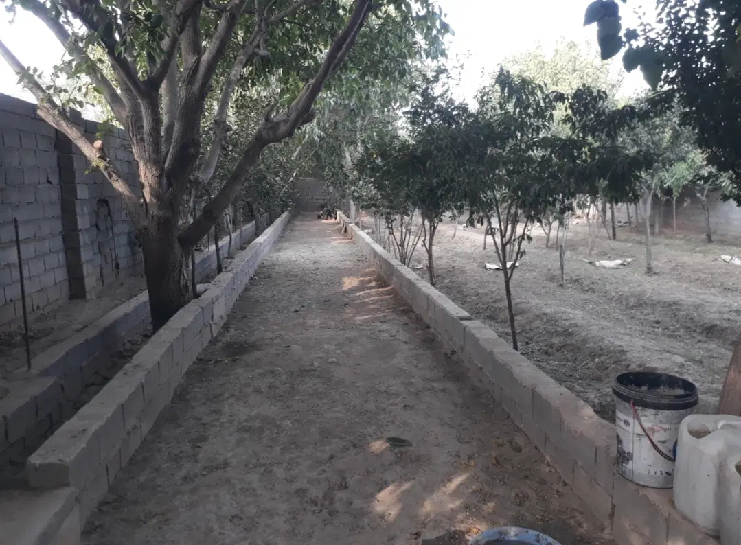 باغچه مثمر چهاردیواری