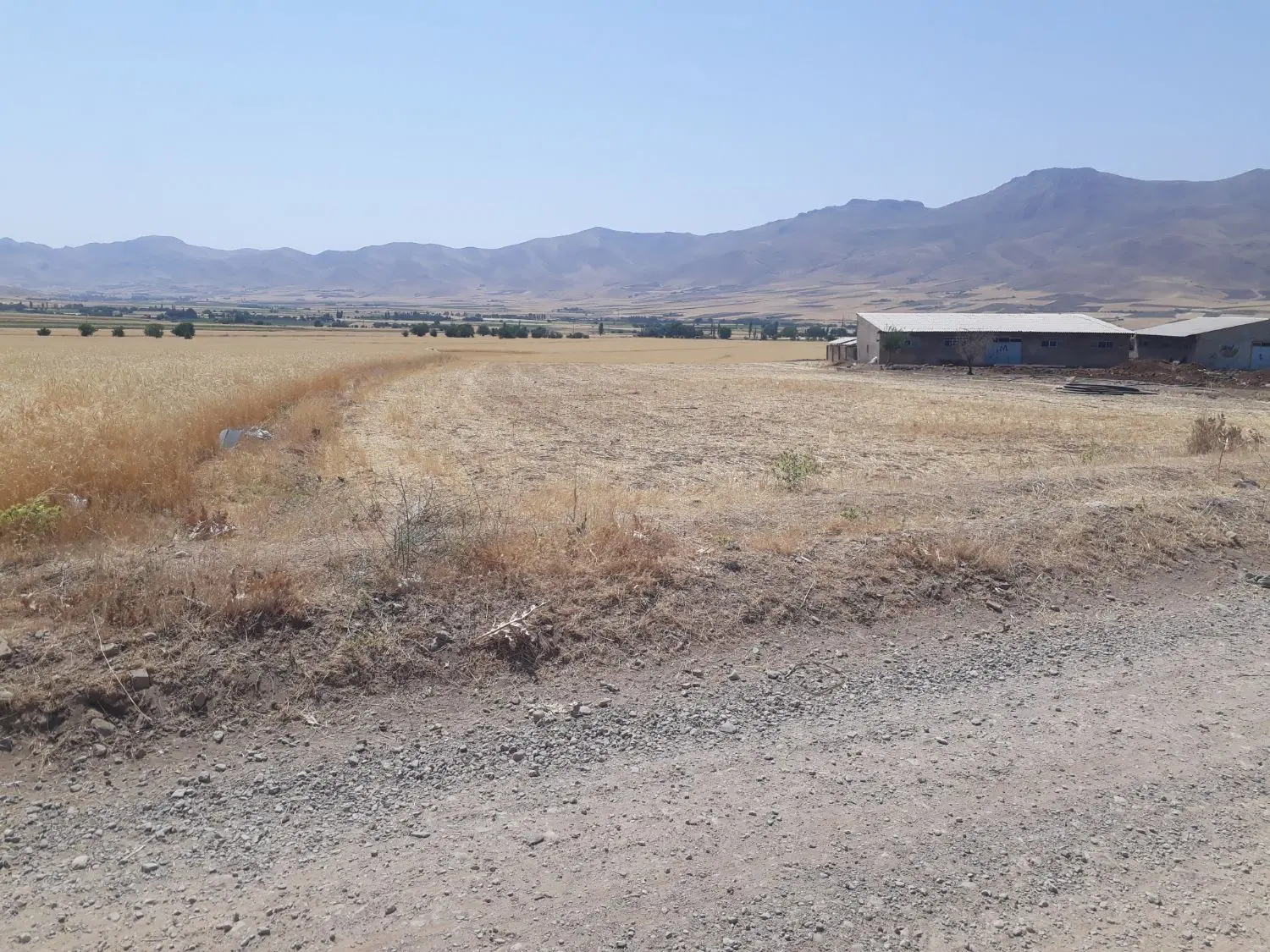 زمین کشاورزی موچش