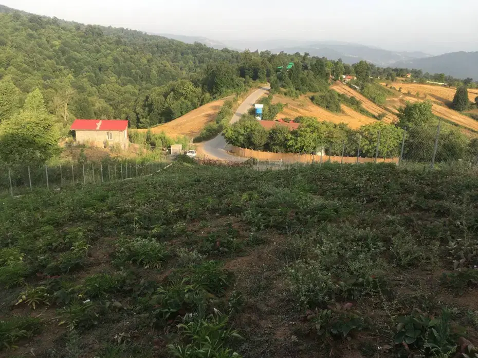 زمین روستای محمداباد بهشهر