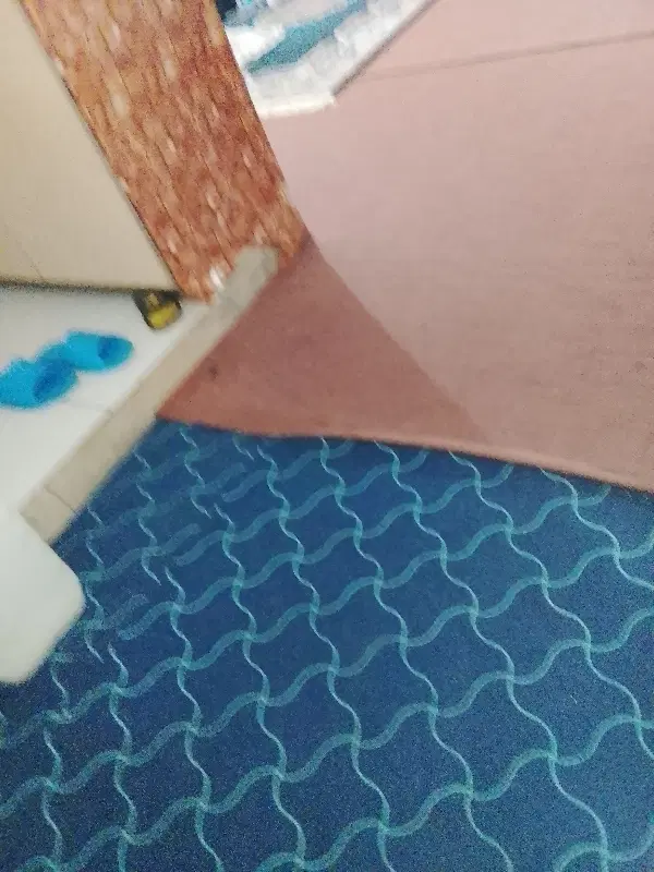 نیازمند همخونه