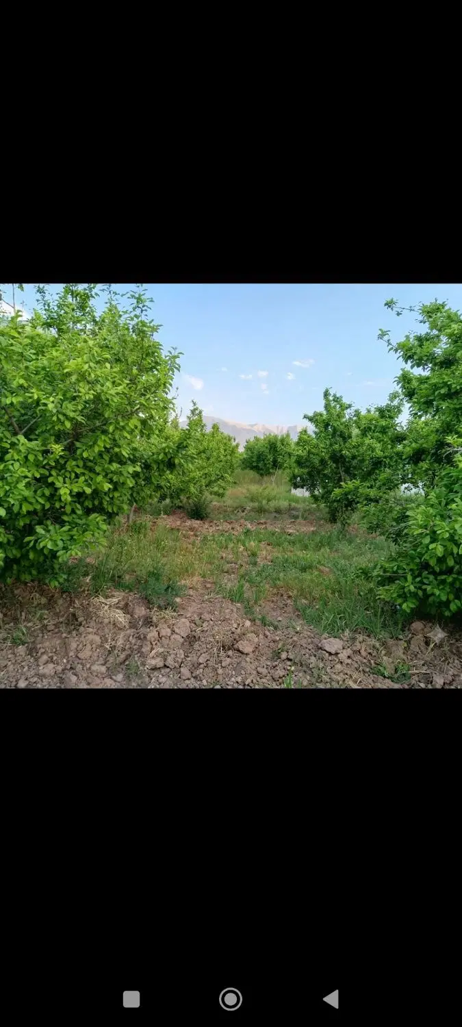 باغچه هزار متری روستای فوشنجان