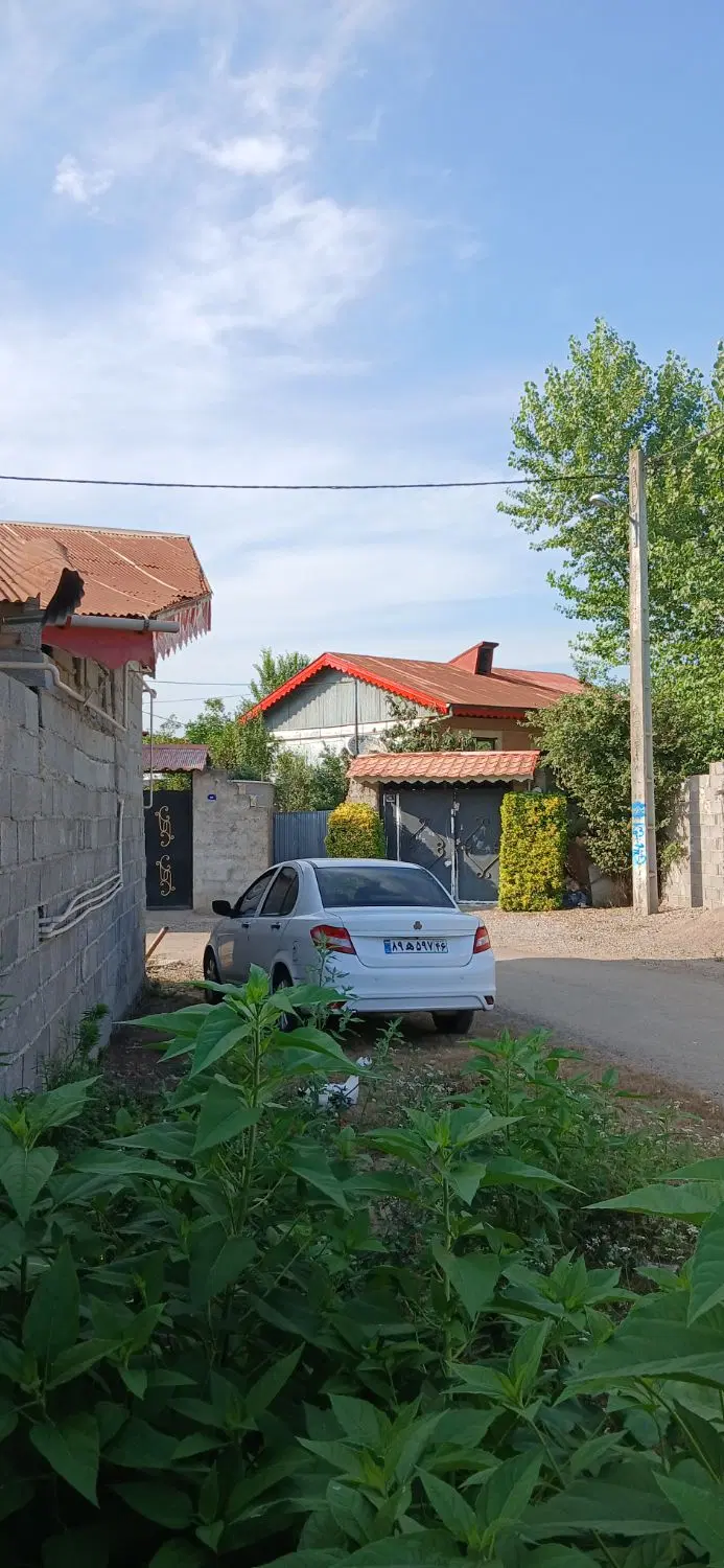 ۳۱۱ متر سند تک برگ آلمان