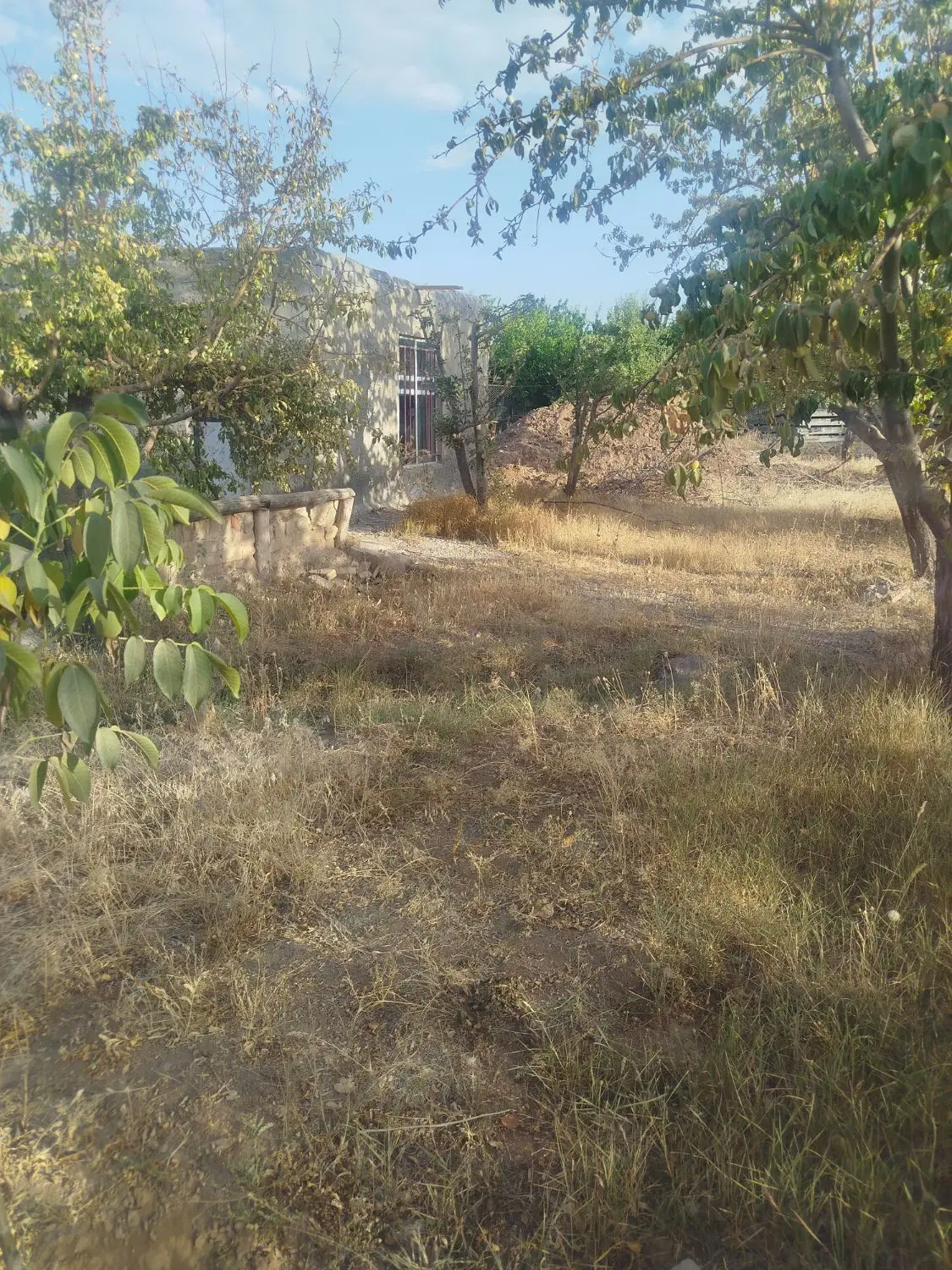 فروش باغ روستای گوار
