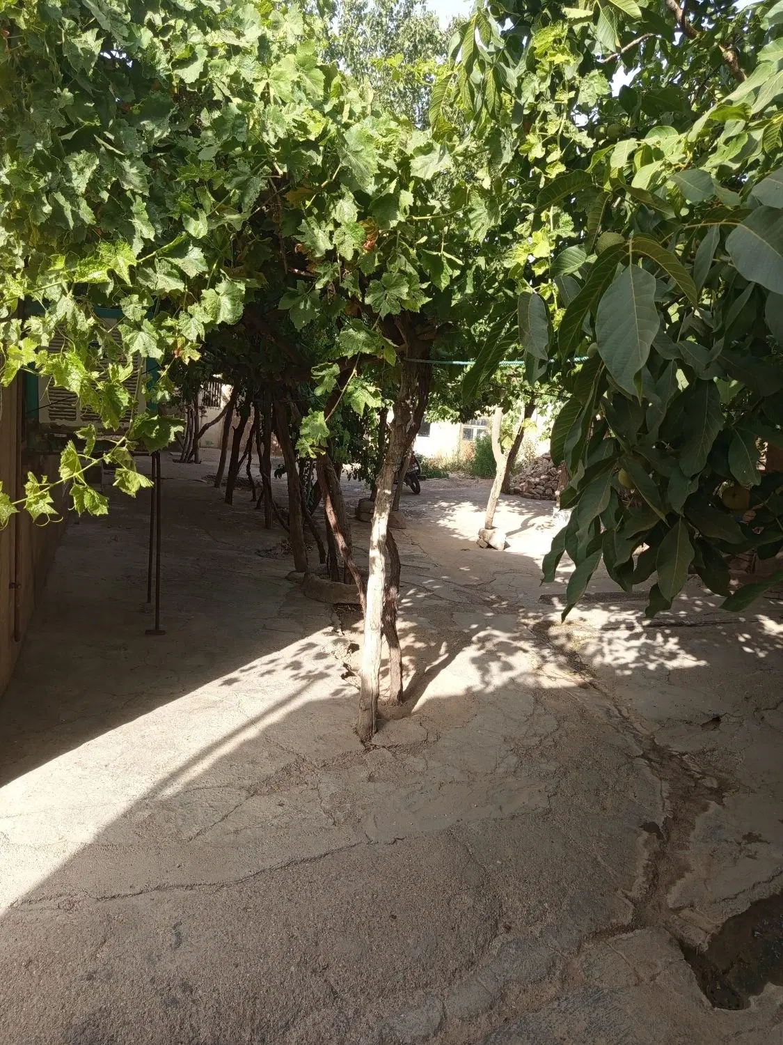 زمین کلنگی