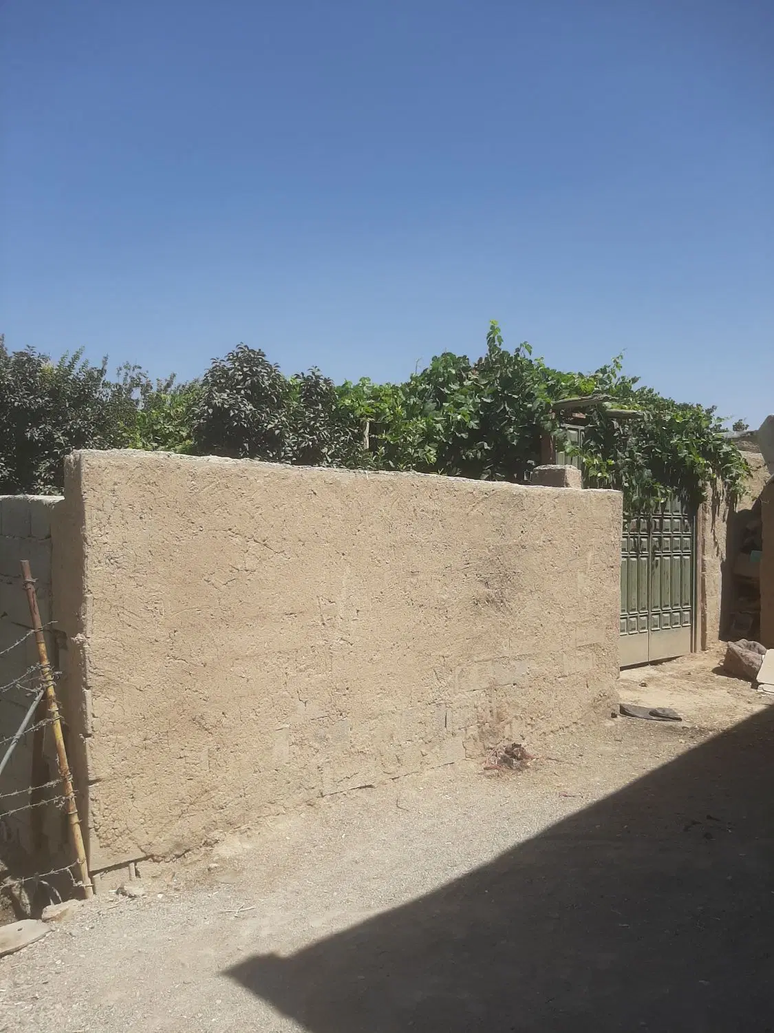 باغ فروشی