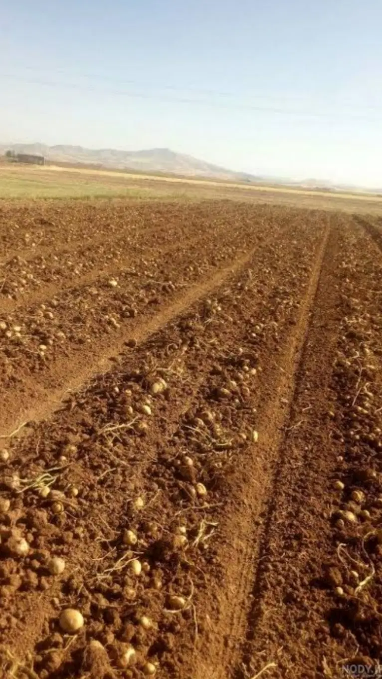زمین کشاورزی با شرایط استثنایی