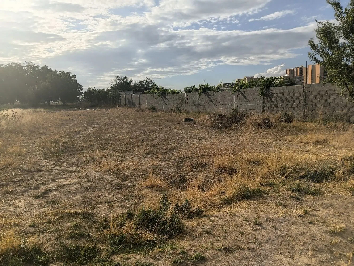 زمین کشاورزی