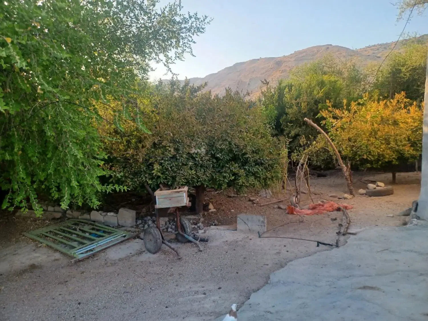 خانه