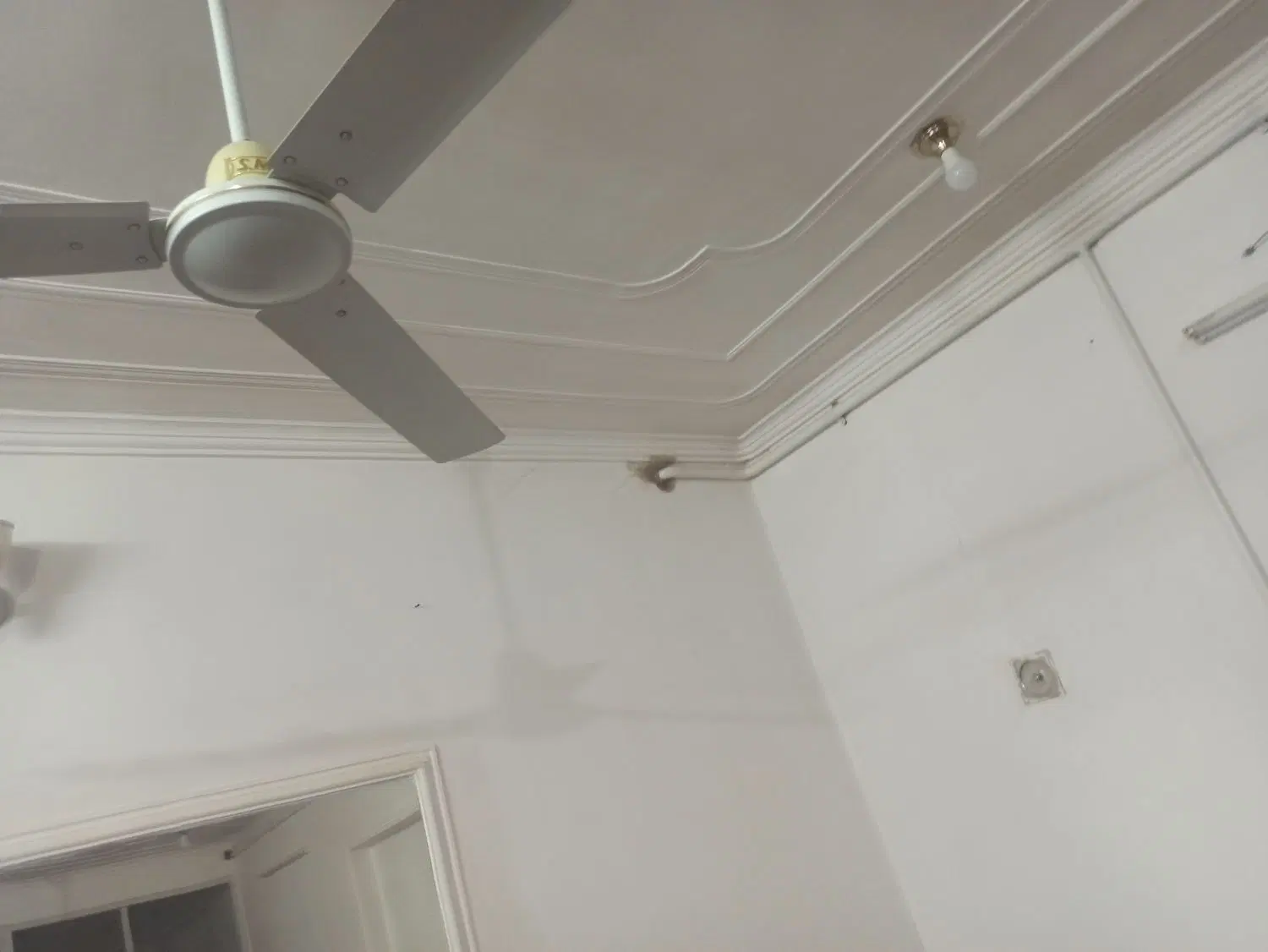 خانه اجاره ای حیاط دار همکف و دربست