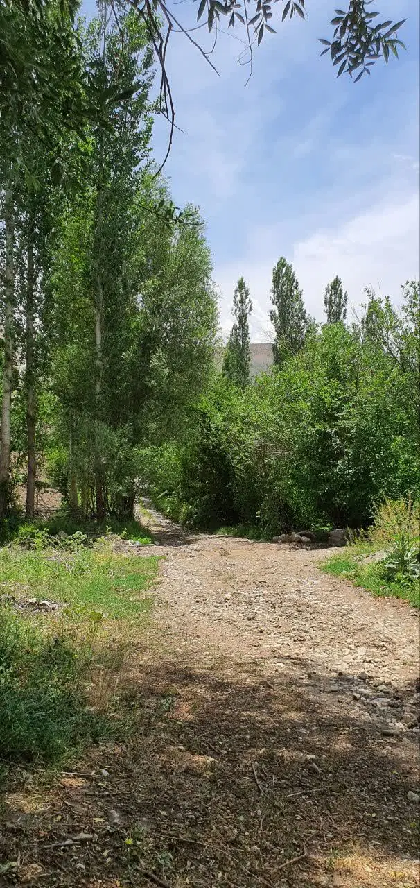 ۷۸۱ متر واقع در طرود