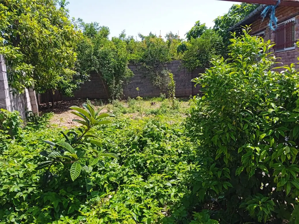 زمین باغی داخل بافت
